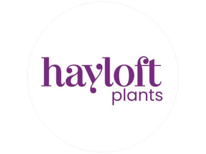Hayloft Plants